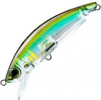 3d inshore minnow hhay